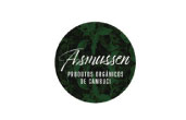 ASMUSSEN-EN-3
